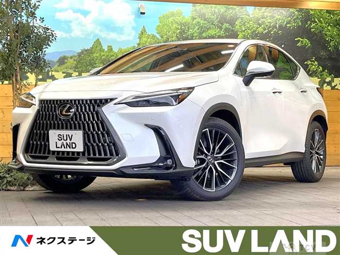 2023 Lexus NX