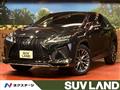 2021 Lexus RX