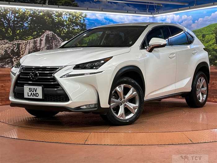 2014 Lexus NX