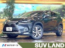 2018 Lexus NX
