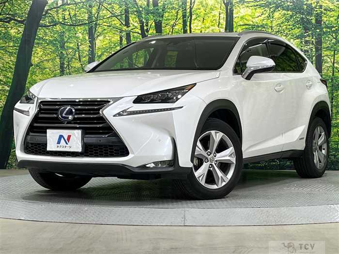 2015 Lexus NX