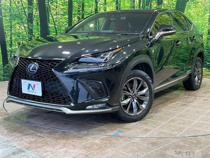2018 Lexus NX
