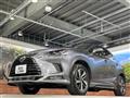 2019 Lexus NX