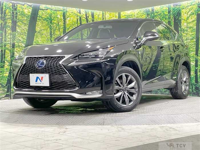 2015 Lexus NX