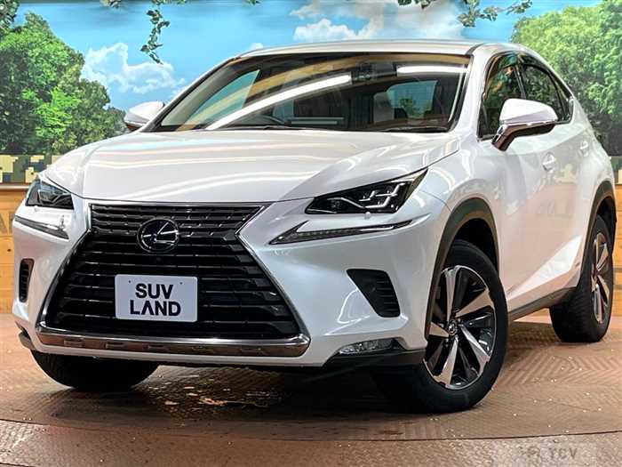 2018 Lexus NX