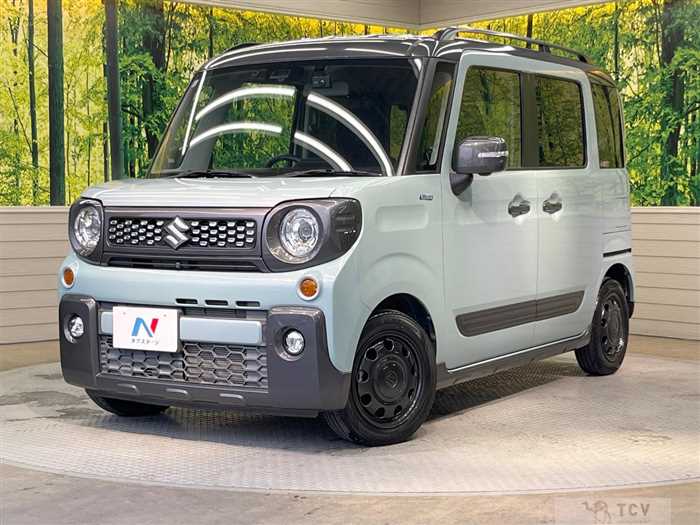 2019 Suzuki Suzuki Others