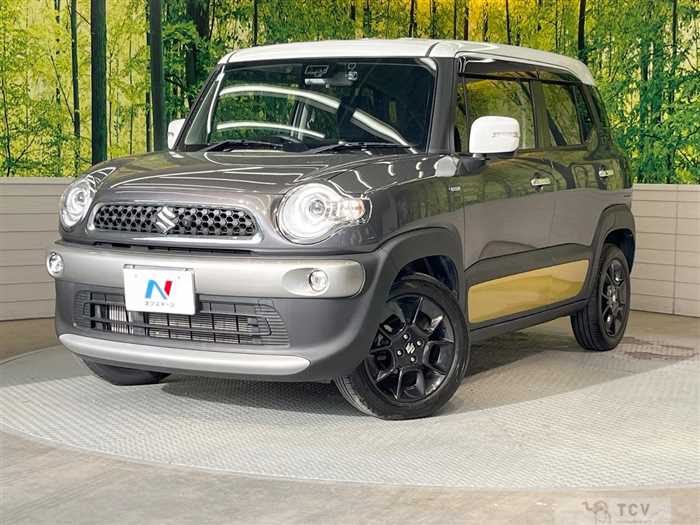 2019 Suzuki Suzuki Others