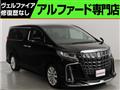 2016 Toyota Alphard G