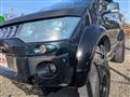 2007 Mitsubishi Delica D5