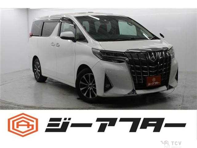 2019 Toyota Alphard G