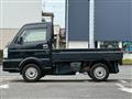 2020 Suzuki Carry Truck