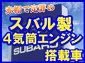 2007 Subaru Sambar