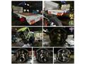 2008 Isuzu Isuzu Others