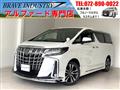 2021 Toyota Alphard G