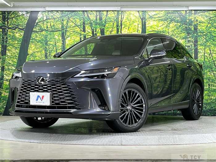 2024 Lexus RX