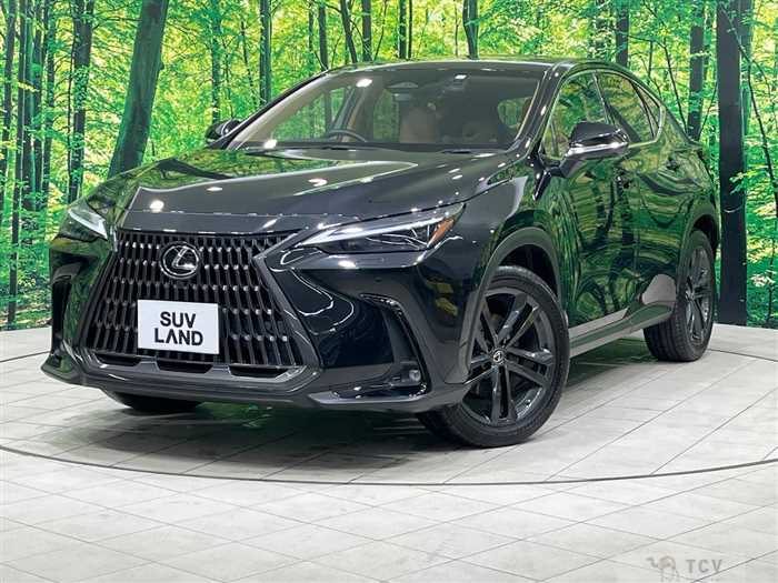 2023 Lexus NX