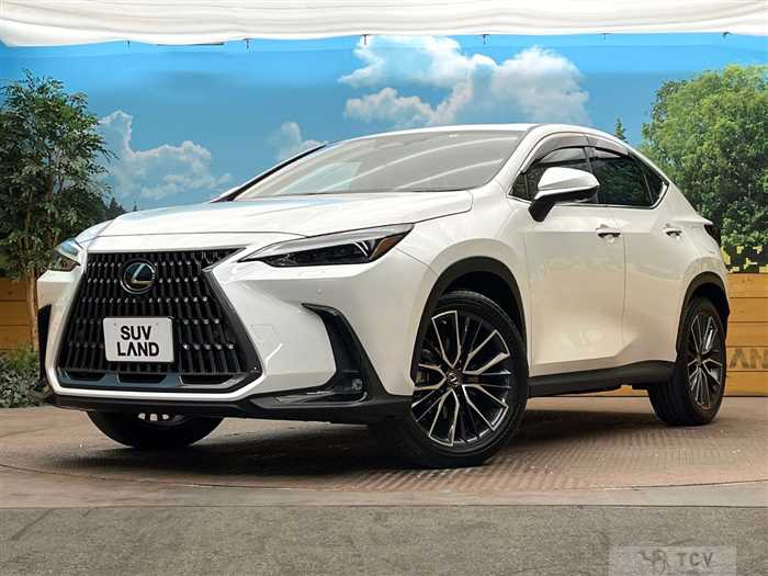 2023 Lexus NX