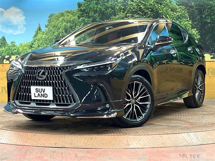 2023 Lexus NX