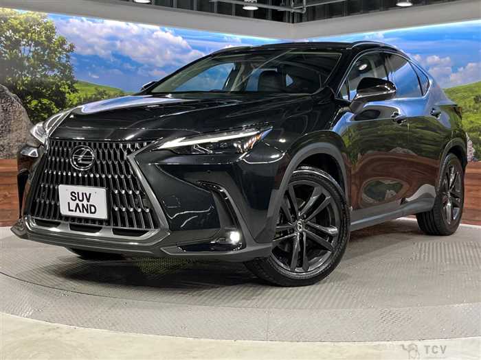 2023 Lexus NX