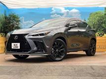 2025 Lexus NX