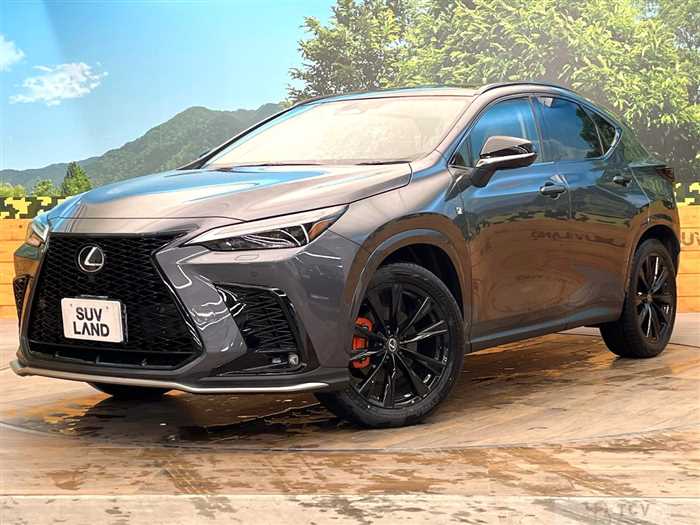2025 Lexus NX
