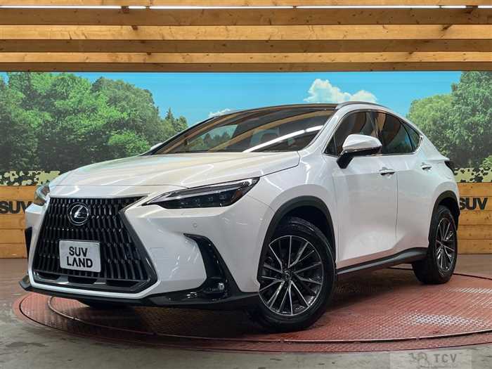 2023 Lexus NX