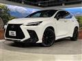 2023 Lexus NX