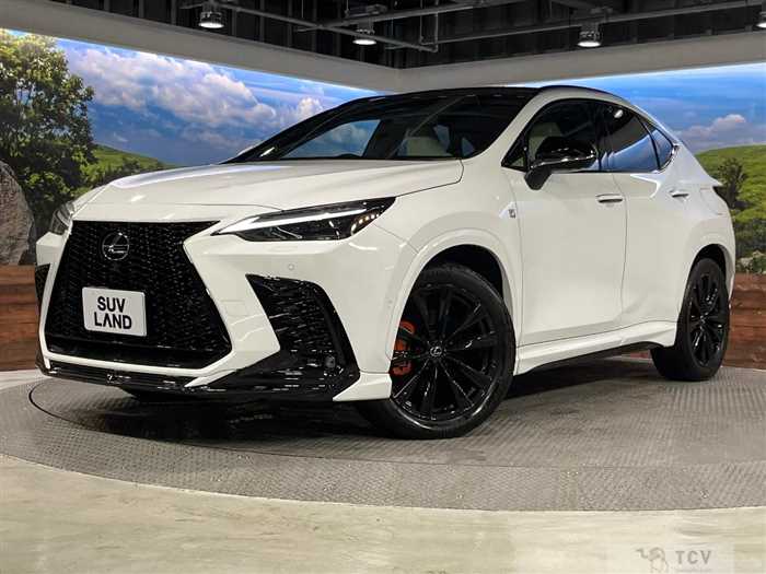 2023 Lexus NX