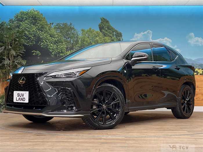 2024 Lexus NX