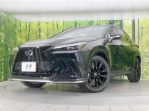2021 Lexus NX