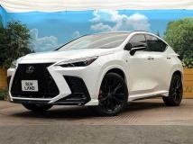 2022 Lexus NX