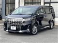 2018 Toyota Alphard