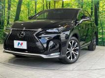 2016 Lexus NX