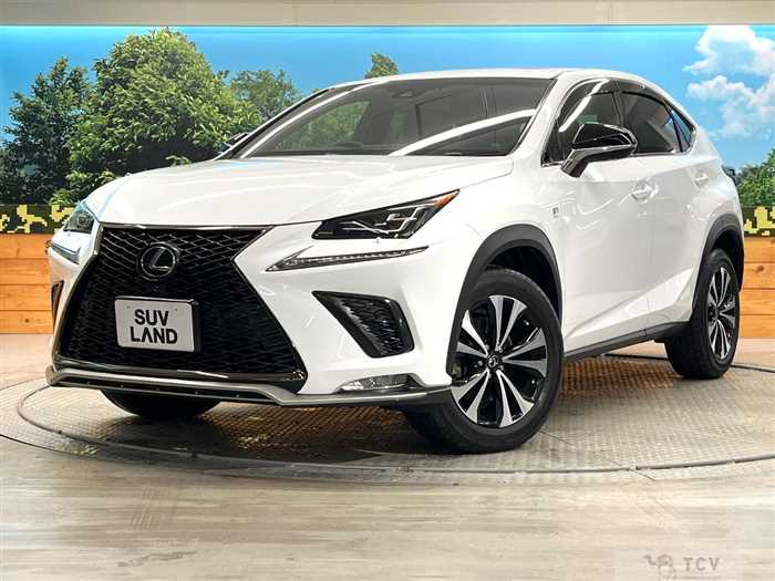 2017 Lexus NX