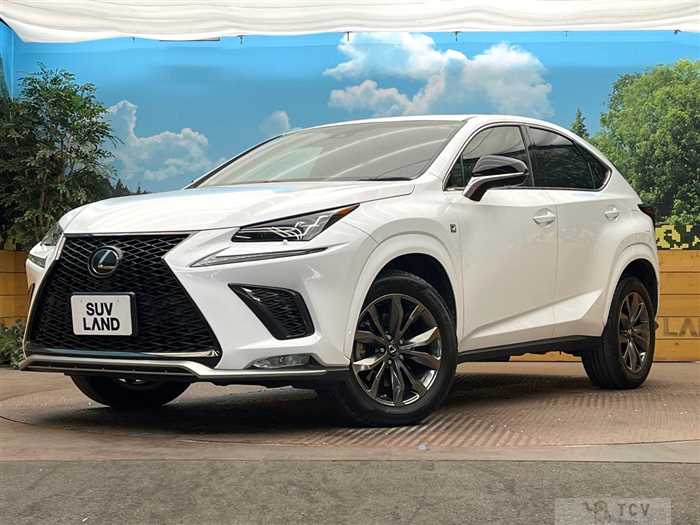 2018 Lexus NX