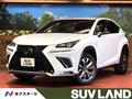 2018 Lexus NX