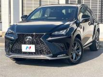 2018 Lexus NX