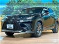 2018 Lexus NX
