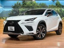 2018 Lexus NX