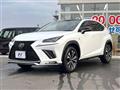 2018 Lexus NX