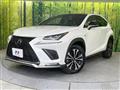 2018 Lexus NX