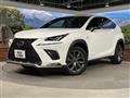 2019 Lexus NX