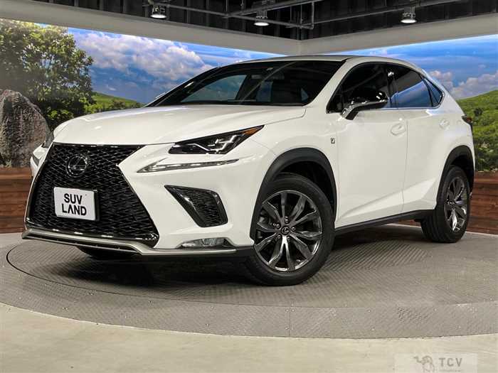 2019 Lexus NX