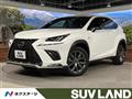 2019 Lexus NX
