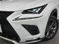 2019 Lexus NX