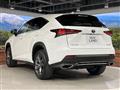 2019 Lexus NX
