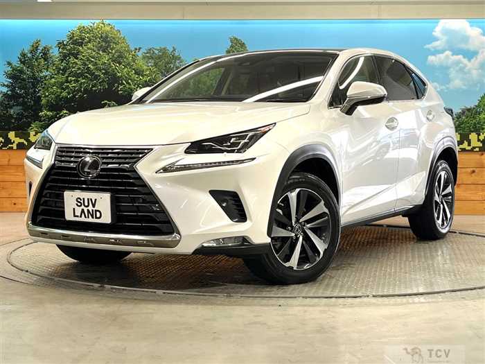 2019 Lexus NX
