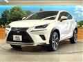2019 Lexus NX