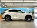 2019 Lexus NX