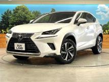 2019 Lexus NX